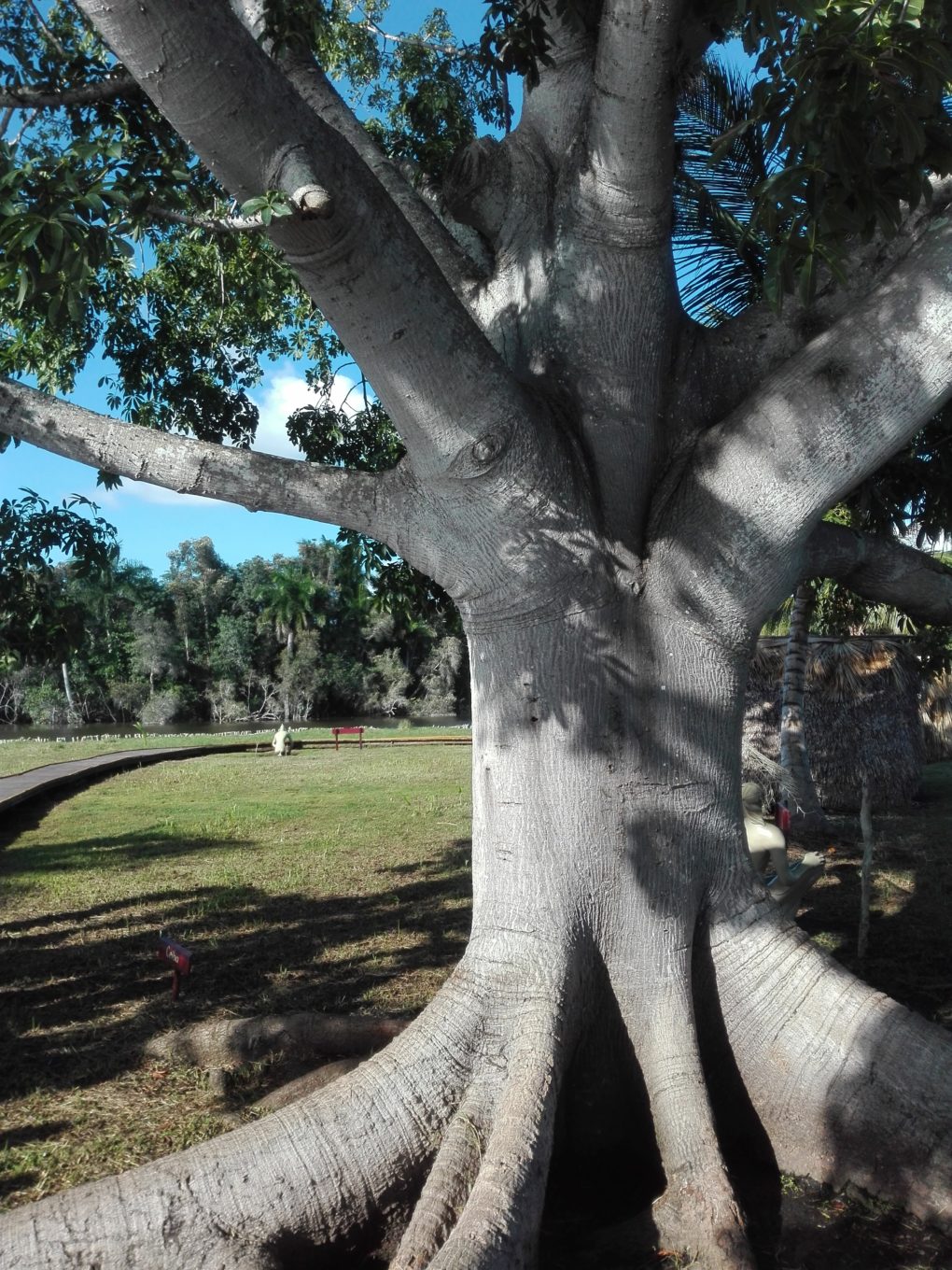 Tour natura GIORNATA CARAIBICA villaggio taino