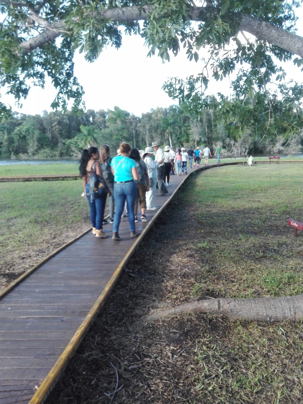 Tour natura GIORNATA CARAIBICA passeggiata villaggio taino